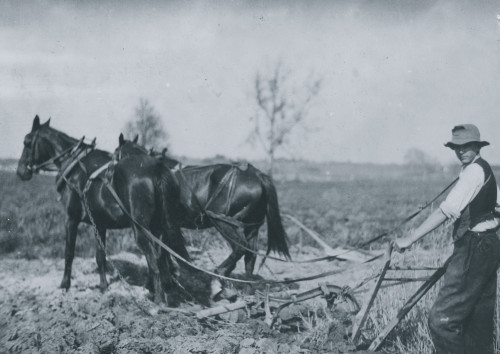 Farmer behind horses as they pull a plow through a field Poster Print - Item # VARBLL058755198L