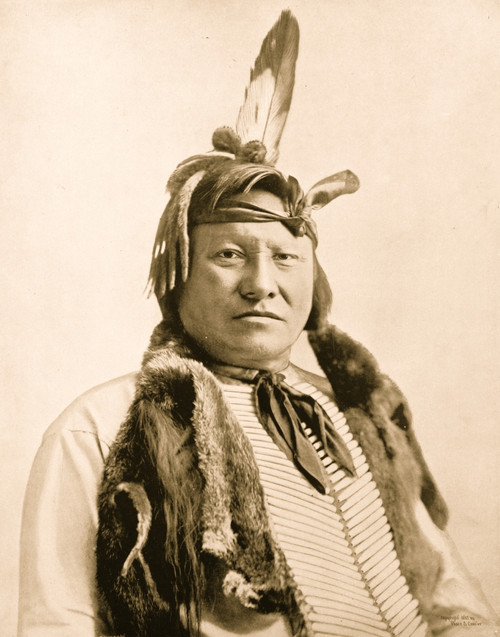 Rain-In-The-Face, half-length portrait, facing slightly right, in traditional Sioux costume. Poster Print - Item # VARBLL058751204L