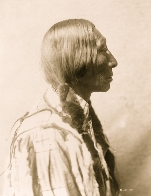 Bear Black, Cheyenne man, head-and-shoulders portrait, facing right. Poster Print - Item # VARBLL058747629L