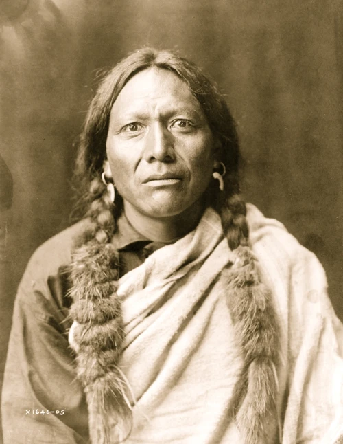 Half-length portrait of man facing front. Poster Print