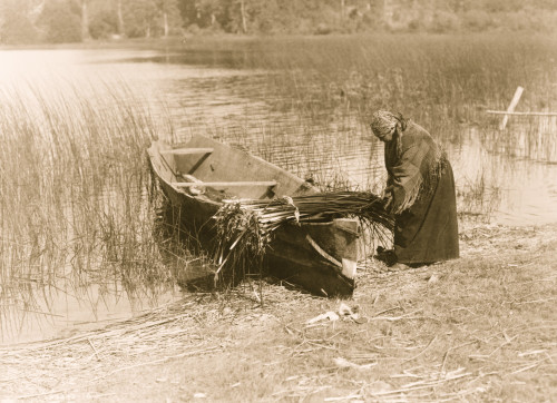 Cowichan woman putting tule on boat. Poster Print - Item # VARBLL058747651L