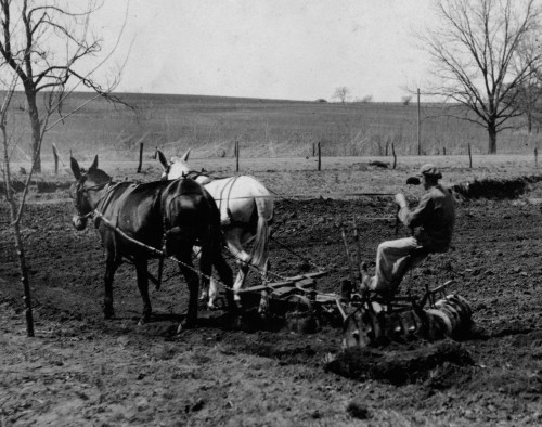 One of the boys disking the ground on the farm. Pauls Valley Training School Poster Print - Item # VARBLL058754243L