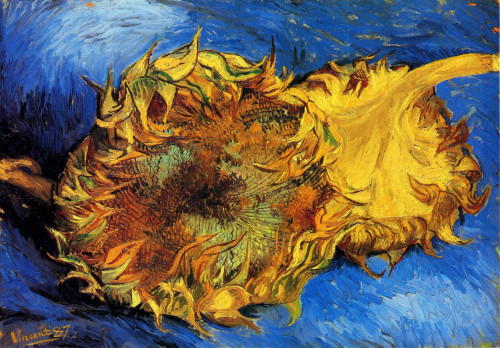 Two Cut Sunflowers [3] Poster Print - Item # VARBLL058750412L