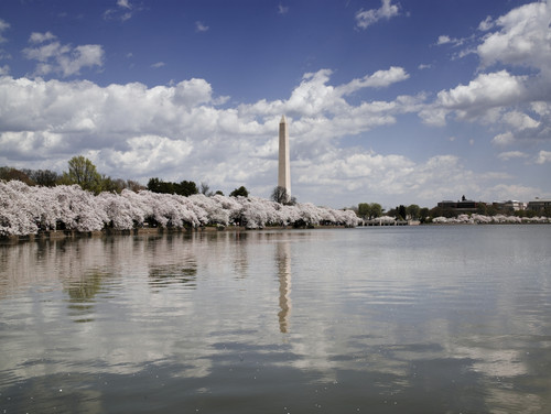 Washington Monument & Tidal Basin Poster Print - Item # VARBLL058756943L
