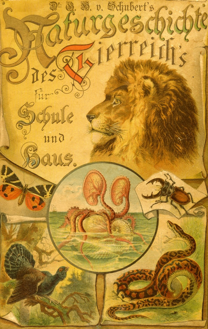 In German; Stories of Animals for Home & school book cover Poster Print - Item # VARBLL058759570L