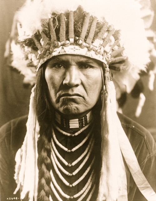 Head-and-shoulders portrait of Nez Perc? man in full feather headdress, braided hair, and necklaces. Poster Print - Item # VARBLL058747138L