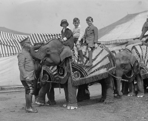 Three Children Ride a Circus Elephant Poster Print