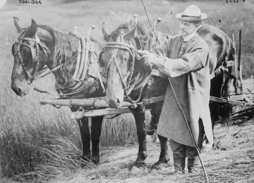 President Coolidge with a Team of Horses Poster Print - Item # VARBLL058756581L