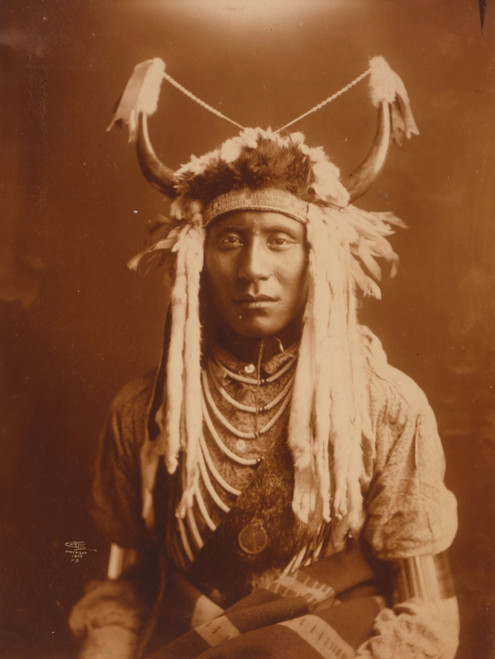Half-length portrait of a Native man, wearing headdress, facing front. Poster Print