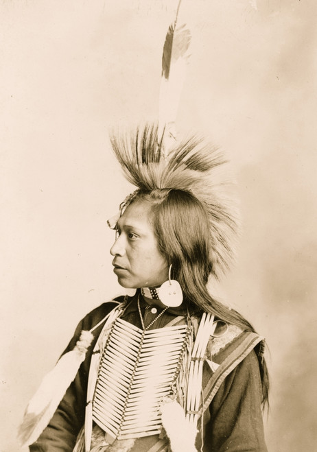 Indian, half-length portrait, facing left, wearing native dress. Poster Print - Item # VARBLL058751174L
