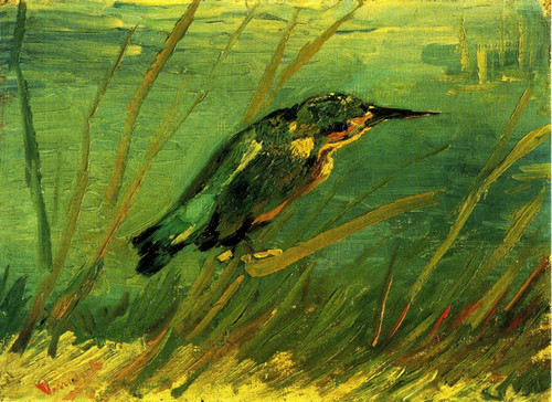 Kingfisher Poster Print