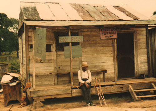 A store with live fish for sale, vicinity of Natchitoches, La. Poster Print - Item # VARBLL0587630833