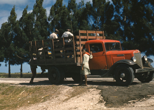 Mississippi farm workers transported by truck Poster Print - Item # VARBLL0587630736