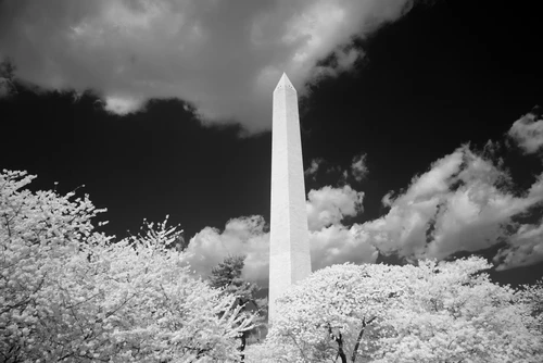Washington Monument Poster Print