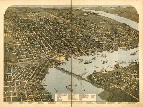 Jacksonville, Florida 1893 Poster Print