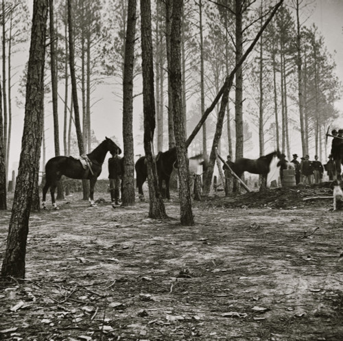 Cavalry detail at Gen. Adelbert Ames headquarters Poster Print - Item # VARBLL058753628L
