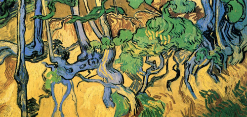 Tree Roots and Trunks Poster Print - Item # VARBLL058750533L