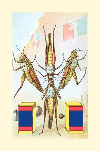 Four acrobatic grasshoppers perform an inverted pyramid like cheerleaders in a daring circus performance. Poster Print by Frolie - Item # VARBLL0587339012