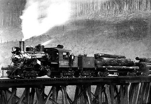 Darius Kinsey was a photographer active in western Washington State from 1890 to 1940. He is best known for his images of loggers and all phases of the region's lumber industry Poster Print by Darius Kinsey - Item # VARBLL0587035161