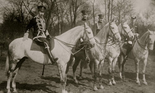 Crown Prince on Germany on a white horse with his entourage Poster Print - Item # VARBLL058751606L