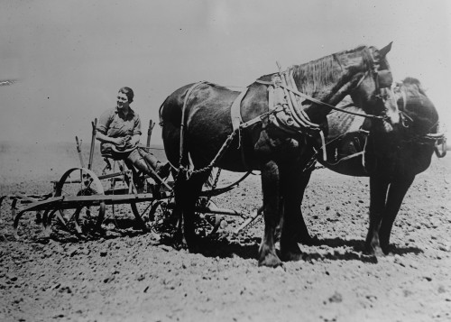 Woman's Land Army, Plowing a Field Poster Print - Item # VARBLL058756576L