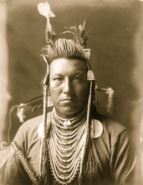 Swallow Bird, Crow Indian, Montana, head-and-shoulders portrait, facing front, painted pompadour, Apsaroke headdress, flannel shirt, beads on chest, studded pipe held in front of right arm Poster Print - Item # VARBLL058747512L