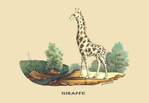 The giraffe sticking his neck around the trees and grasslands. Poster Print by E. F. Noel - Item # VARBLL0587089105