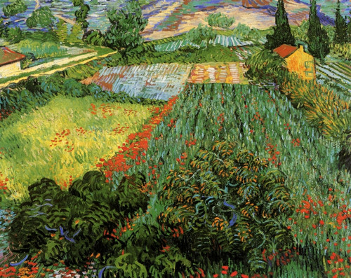 Field with Poppies Poster Print - Item # VARBLL058750438L