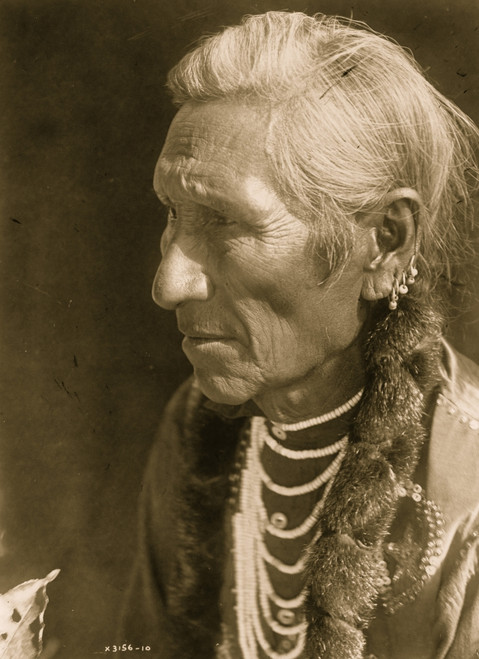 Flathead man, head-and-shoulders portrait, facing left. Poster Print - Item # VARBLL058746958L