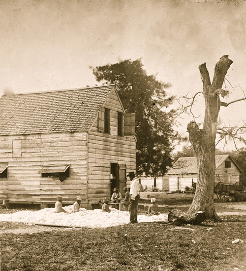 African Americans preparing cotton for the gin on Smith's plantation Poster Print - Item # VARBLL058763040x