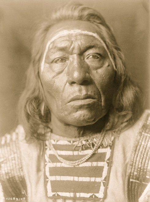 Head-and-shoulders portrait of Crow man. Poster Print - Item # VARBLL058747608L