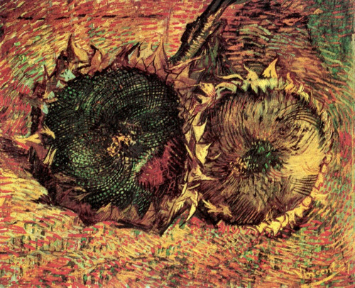 Two Cut Sunflowers [2] Poster Print - Item # VARBLL058750411L