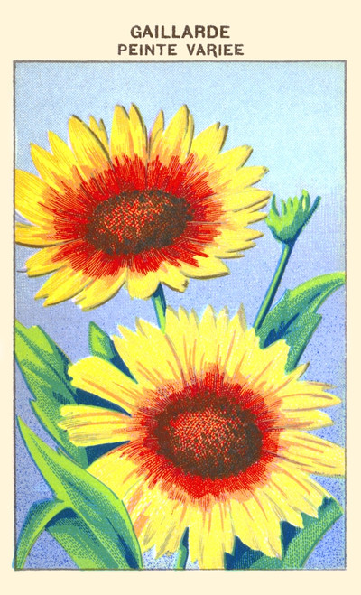 Gaillarde's Painting Variety Poster Print by unknown - Item # VARBLL0587409592