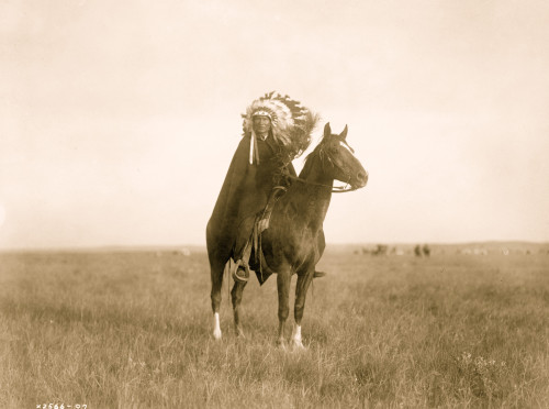 Sioux man on horseback in open field. Poster Print - Item # VARBLL058746919L