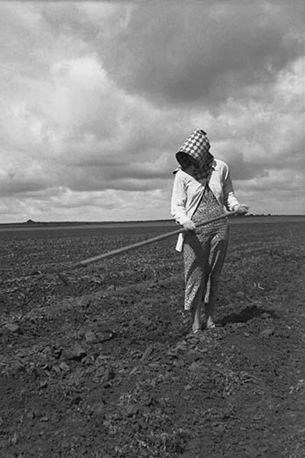 Wife of Texas tenant farmer. The wide lands of the Texas Panhandle are typically operated by white tenant farmers, i.e., those who possess teams and tools and some managerial capacity Poster Print by Dorothea Lange - Item # VARBLL0587240784