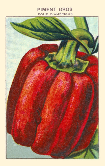 Hot sweet pepper Poster Print by unknown - Item # VARBLL0587409053