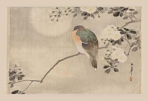 Celebrated annually for decades, the cherry blossom festival welcomes spring. Poster Print by Unknown - Item # VARBLL0587204214