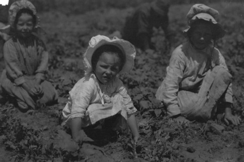 Sugar beet workers, Sugar City, Colorado. Mary, six years, Lucy, eight, Ethel, ten. Family has been here ten years. Children go to school in the winter Poster Print - Item # VARBLL058755236L