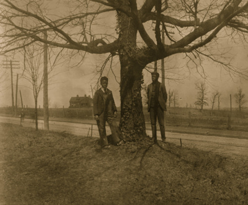 Two African American men standing next to a tree in Georgia Poster Print - Item # VARBLL0587634324