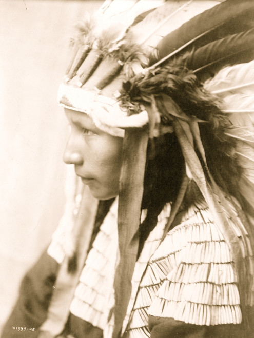 Cheyenne girl, head-and-shoulders portrait, facing left, wearing headdress. Poster Print - Item # VARBLL058747507L