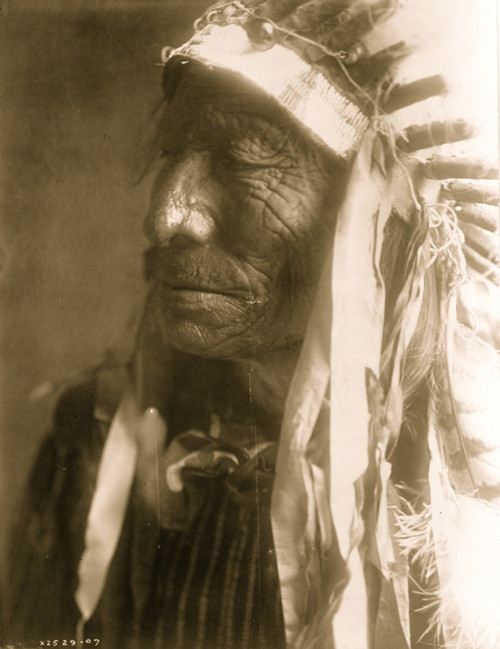 American Indian man, head-and-shoulders portrait, facing left. Poster Print - Item # VARBLL058746932L