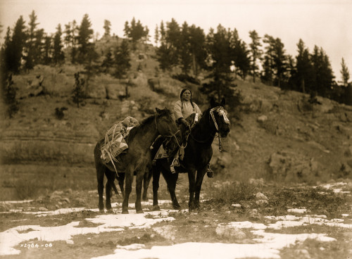 Apsaroke woman on horseback, packhorse beside her. Poster Print - Item # VARBLL058747266L