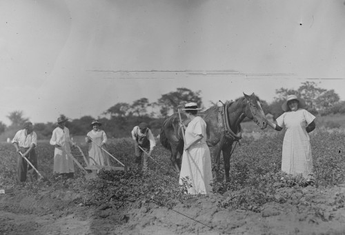 Suffrage farmers Poster Print
