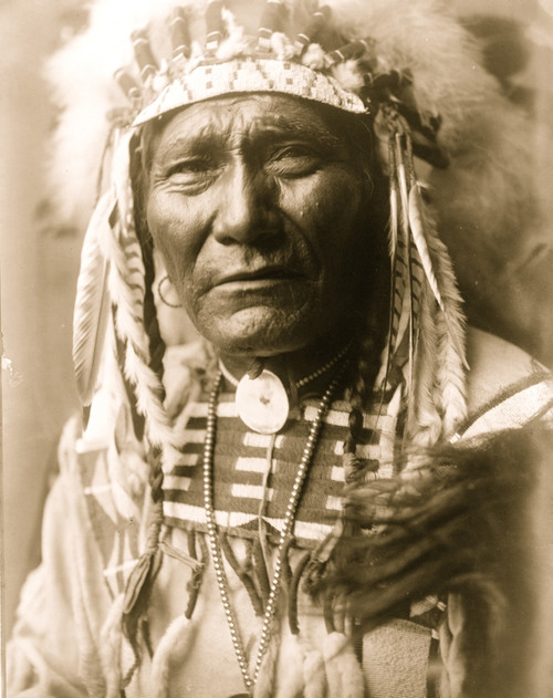 Ghost Bear, Crow Indian, Montana, head-and-shoulders portrait, facing front, feather headdress, beaded buckskin shirt, bead choker with shell concho, large medal on strand of metal beads Poster Print - Item # VARBLL058747511L