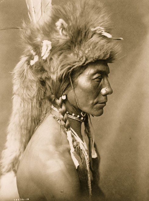 Yellow Kidney, Piegan man, head-and-shoulders portrait, facing left, wearing a fur headdress. Poster Print - Item # VARBLL058746956L