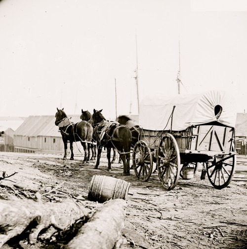 City Point, Virginia. Four-mule army team and wagon Poster Print - Item # VARBLL058754186L