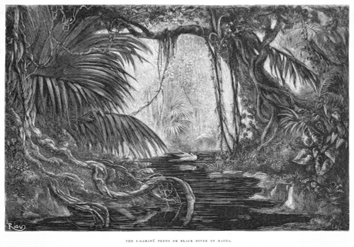 Peru River Poster Print By Mary Evans Picture Library - Item # VARMEL10207541