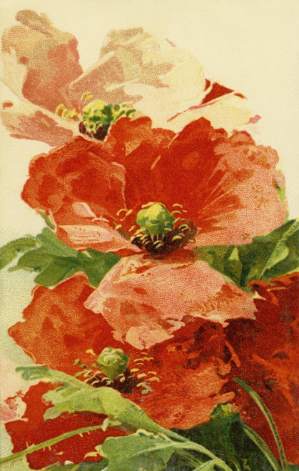 Poppies Poster Print By Mary Evans Picture Library/Peter & Dawn Cope Collection - Item # VARMEL11045355