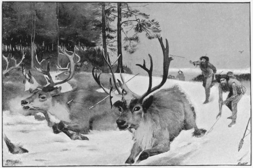 Prehistoric Reindeer Hunt Poster Print By Mary Evans Picture Library - Item # VARMEL10006173 Prehistoric Reindeer Hunt Poster Print By Mary Evans Picture Library - Item # VARMEL10006173