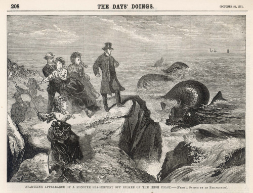Irish Sea Serpent Off Kilkee  Ireland Poster Print By Mary Evans Picture Library - Item # VARMEL10000859